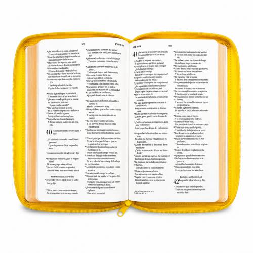 Biblia Reina Valera 1960 – Con Concordancia – Letra 11 pts – 16x23 cm – Palabras de Jesús en Rojo – Cierre – Amarillo Abejas
