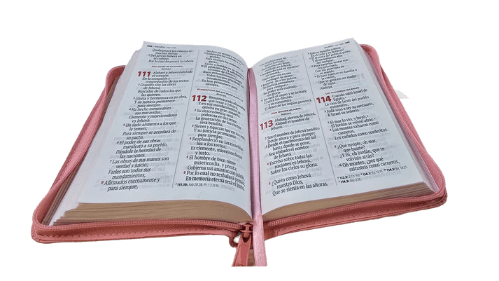 Biblia Reina Valera 1960 – 046 – Letra 11 pts  Grande  – 13,5x17,5 cm – Palabras de Jesús en Rojo – Tapa PU con Cierre – Rosado – Canto Metálico
