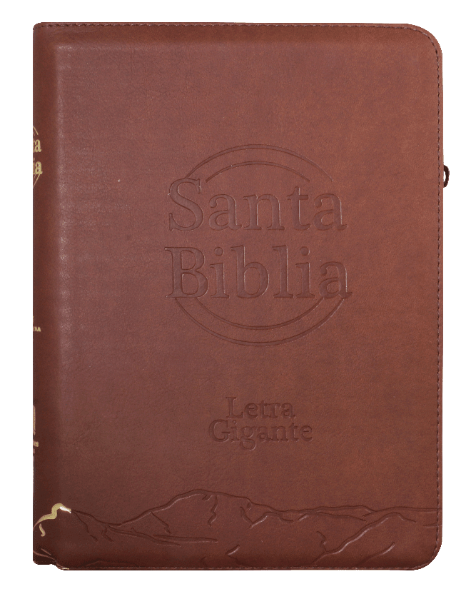 Biblia Reina Valera 1960 – 086C – Letra 14 pts – 18x24,5 cm – Palabras de Jesús en Rojo – Cierre con Índice – Marron