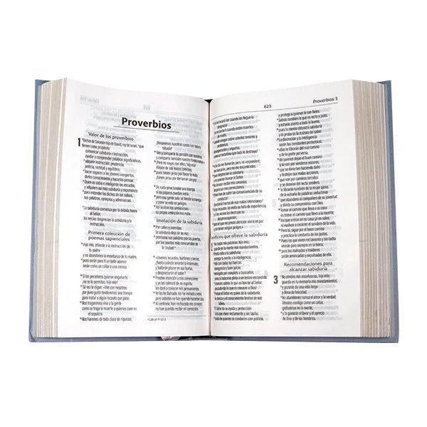 Biblia Dios Habla Hoy – Tapa Dura Gris Azulado, 12 x 17 cm, Letra 9 Puntos