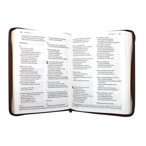 Biblia Dios Habla Hoy – 086DK – Letra 15 pts Gigante – 19,5x25 cm – Deuterocanónicos - Cierre – Tapa PU Marrón