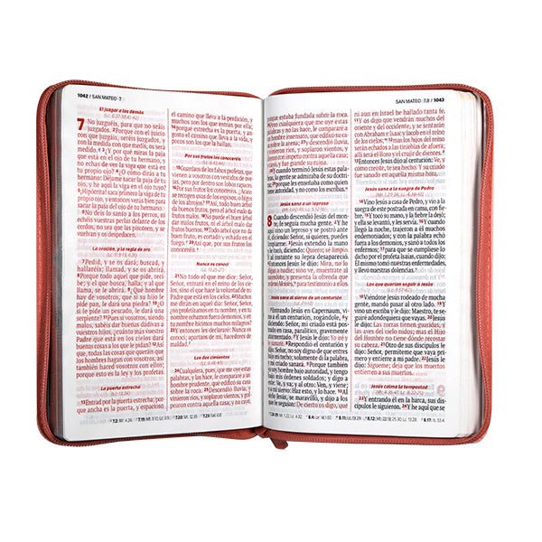 Biblia Reina Valera 1960 – 066 – Letra 12 pts Grande – 13x21 cm – Palabras de Jesús en Rojo – Tapa PU – El Camino, la Verdad y la Vida – Rosa