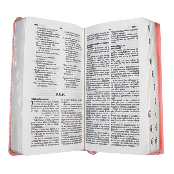 Biblia Reina Valera 1960 Abrojo Concordancia Rosa