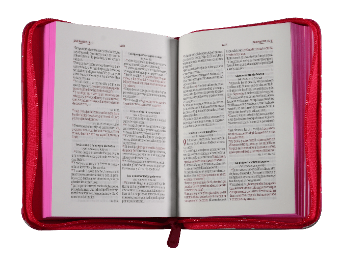 Biblia Reina Valera 1960 – 025 – Con Concordancia – Letra 8 pts – 10,5x14,5 cm – Palabras de Jesús en Rojo – Cierre – Fucsia