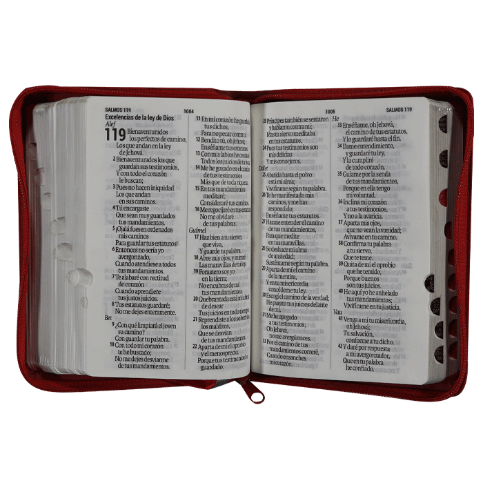 Biblia Reina Valera 1960 Letra Mayor 11 puntos Cierre Indice Tapa Pu Rojo