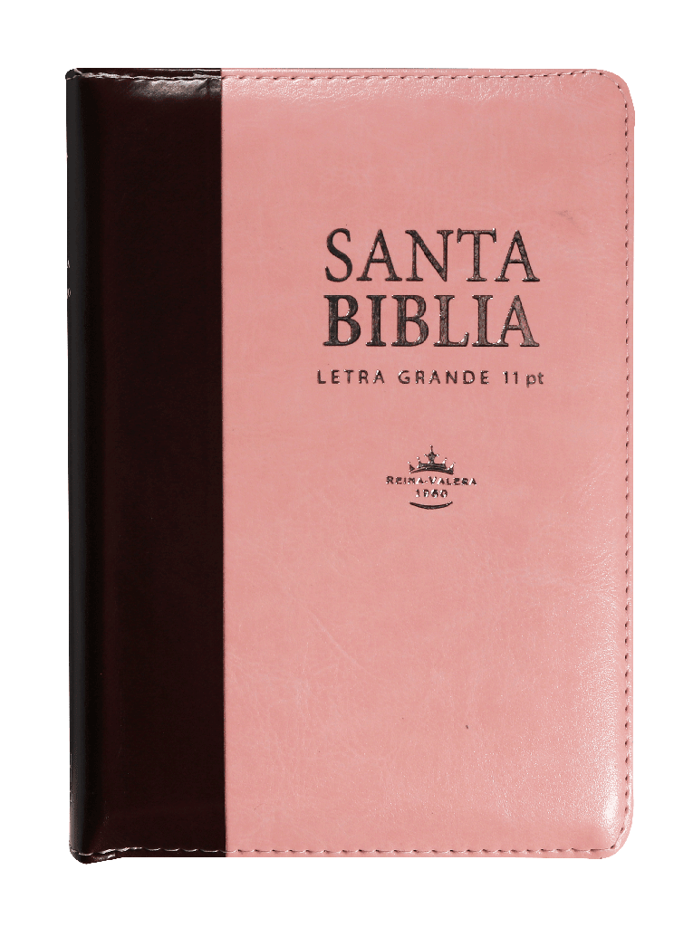 Biblia Reina Valera 1960 Letra Mayor Cierre Indice Marr/rosa