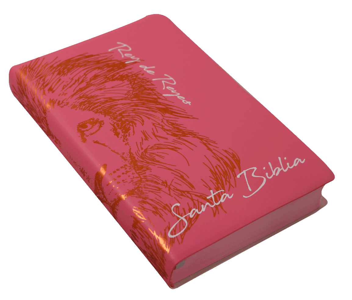 Biblia Reina Valera 1960 Letra Grande 12p Concordancia Leon Rosa