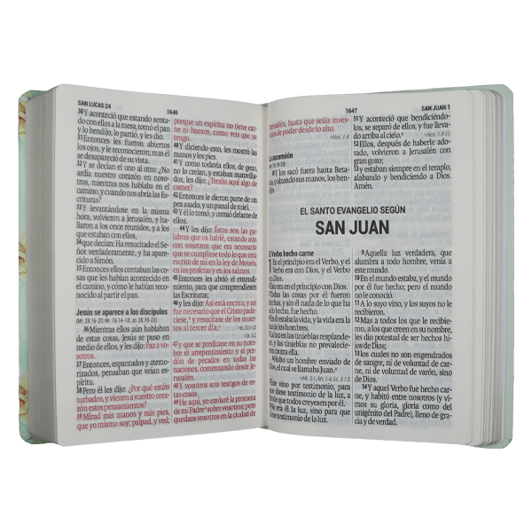 Biblia Reina Valera 1960 – Tapa Dura Lettering, Concordancia, PJR, 14 x 21 cm, Letra 10 Puntos
