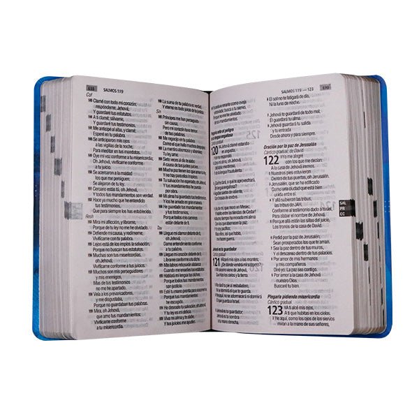 Biblia Reina Valera 1960 – Tapa Vinilo León Celeste y Azul, Concordancia, Palabras de Jesús en Rojo, 14 x 22 cm, Letra 12 Puntos