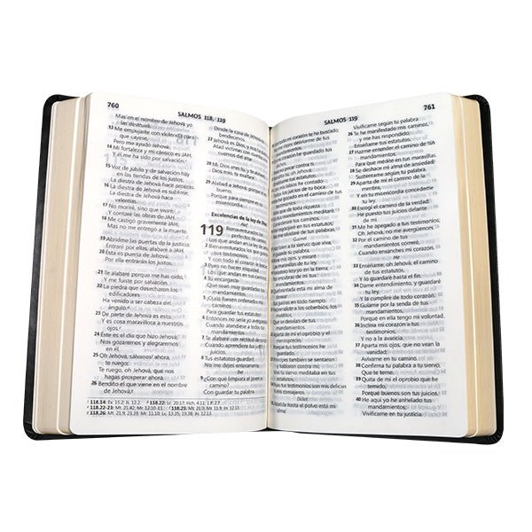 Biblia Reina Valera 1960 Letra Compacta Tapa GB Negra 14 x 21 cm