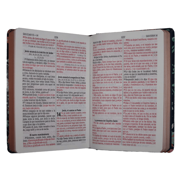 Biblia Reina Valera 1960 · 13,5x21 cm · Letra 12 pt · Letra grande · Tapa dura · Diseño azul con flores y canto bronce