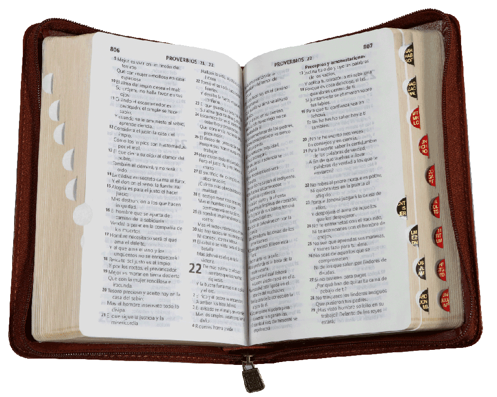 Biblia Reina Valera 1960 Letra Mediana Con Concordancia Con Cierre con Índice Color Café 11 x 16 cm