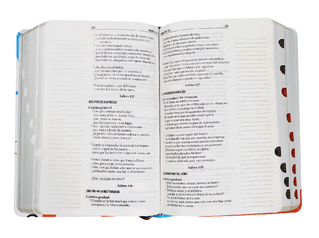 Biblia Servidores Reina Valera Contemporánea Indice Imi Piel