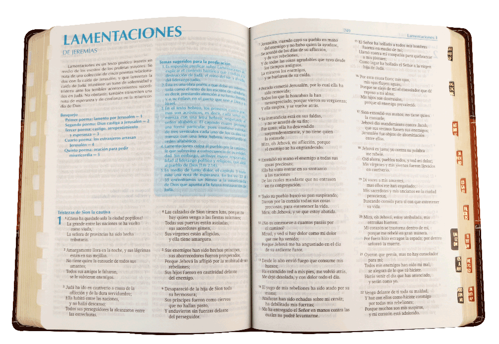 Biblia Reina Valera 1960 Para La Predicacion Letra Grande