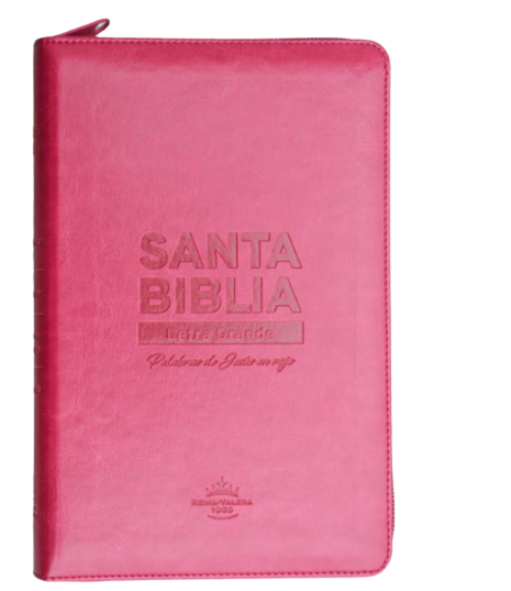 Biblia Reina Valera 1960 Letra Grande Concordancia Cierre Tapa Fina PU Rosa