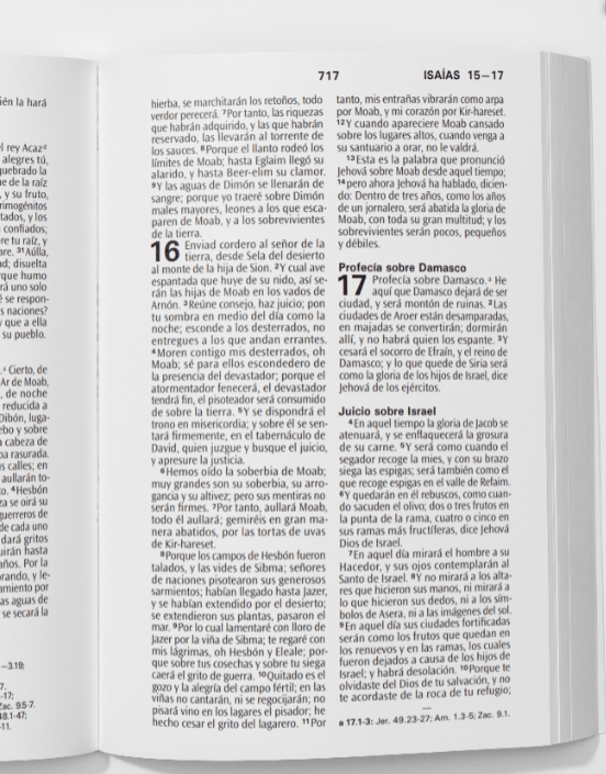 Biblia Reina Valera 1960 Letra Grande Concordancia Tapa Dura Palabras de Jesús en Cursiva