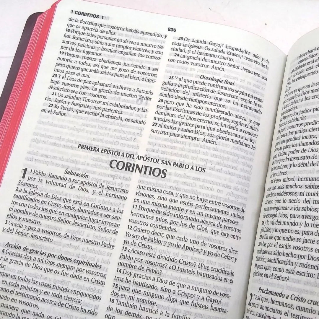 Biblia Reina Valera 1960 letra Estandar Concordancia simil piel Eco Bordo