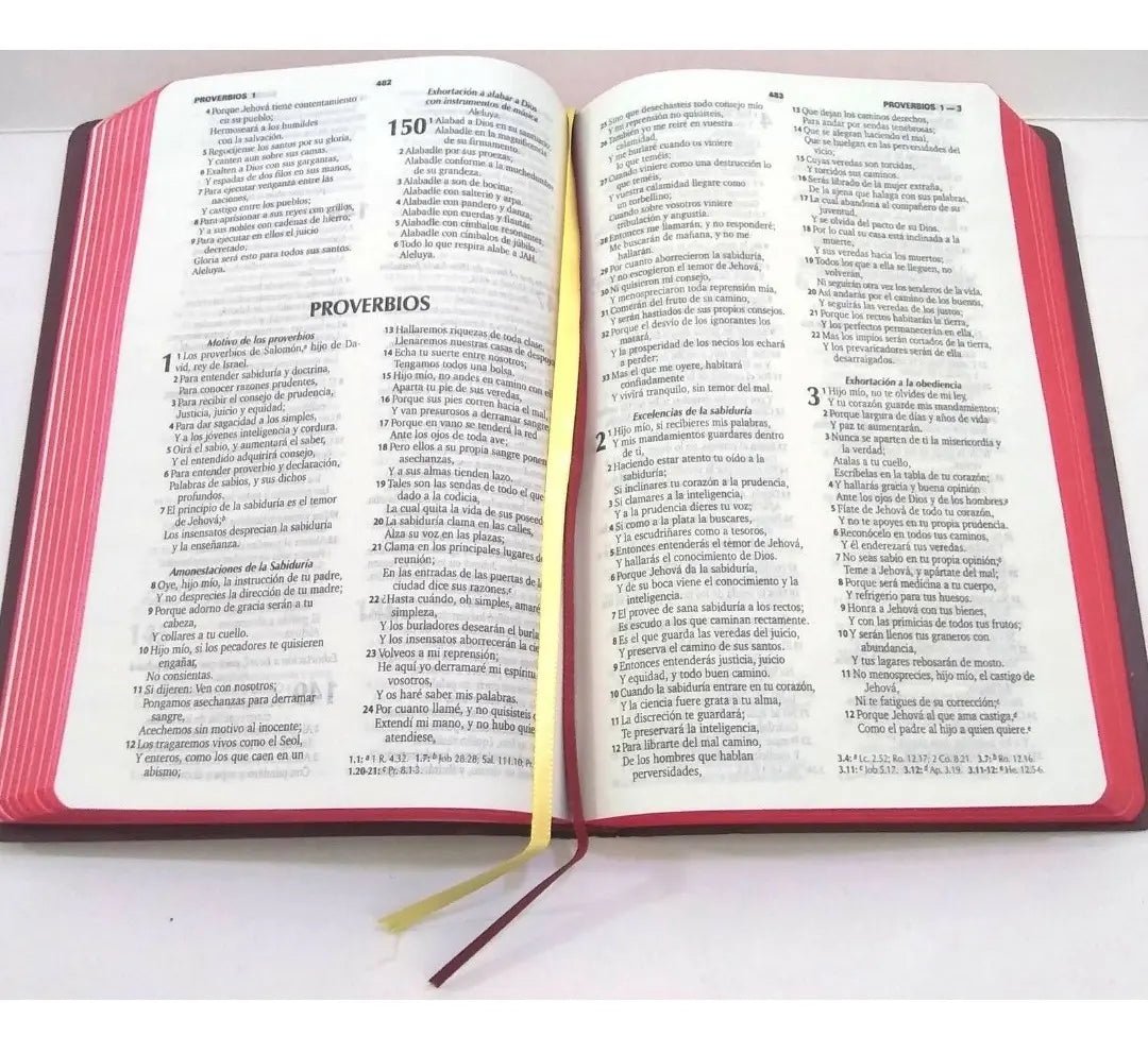 Biblia Reina Valera 1960 letra Estandar Concordancia simil piel Eco Bordo