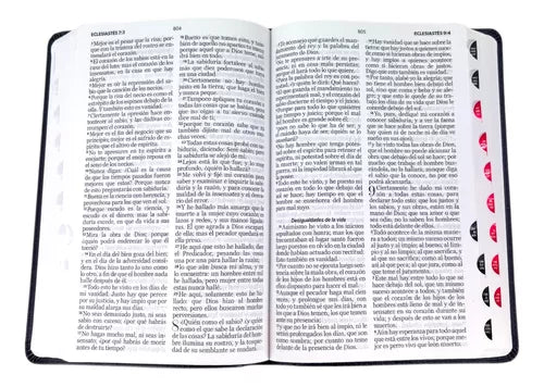 Biblia RVR60 065cti Colección Supreme Cordero y león