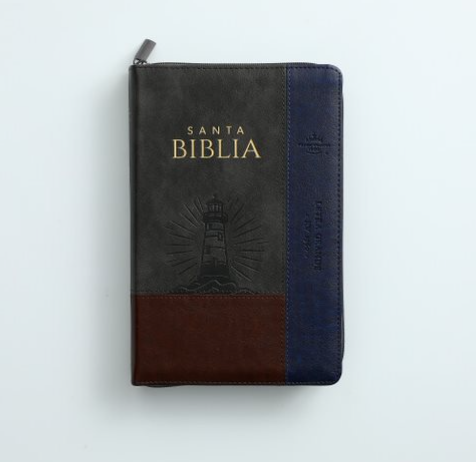 Biblia RVR065LG czti PJR Inspiración Marrón/Gris/Azul