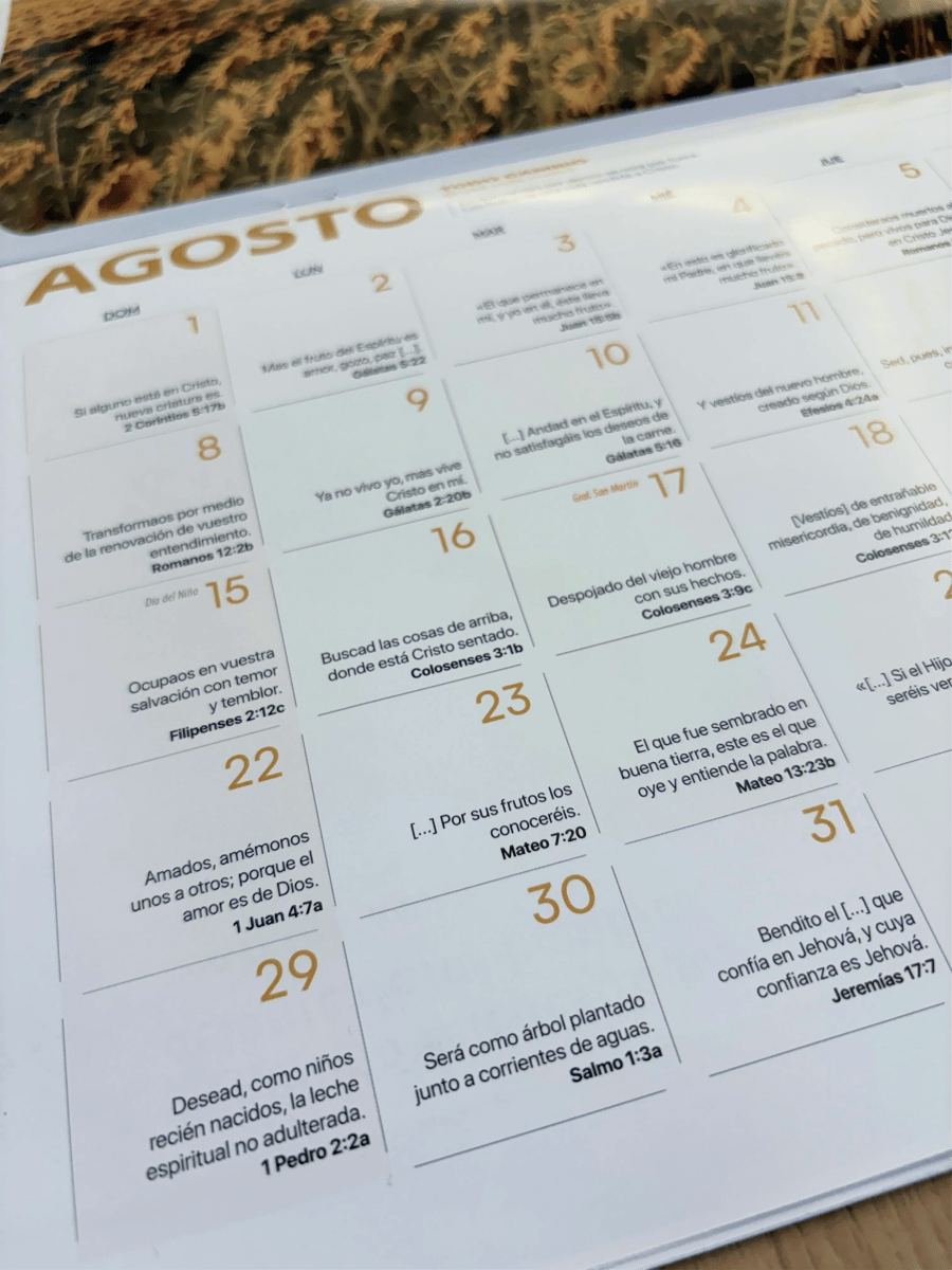 Calendario 2027 - UN AÑO DE GRACIA