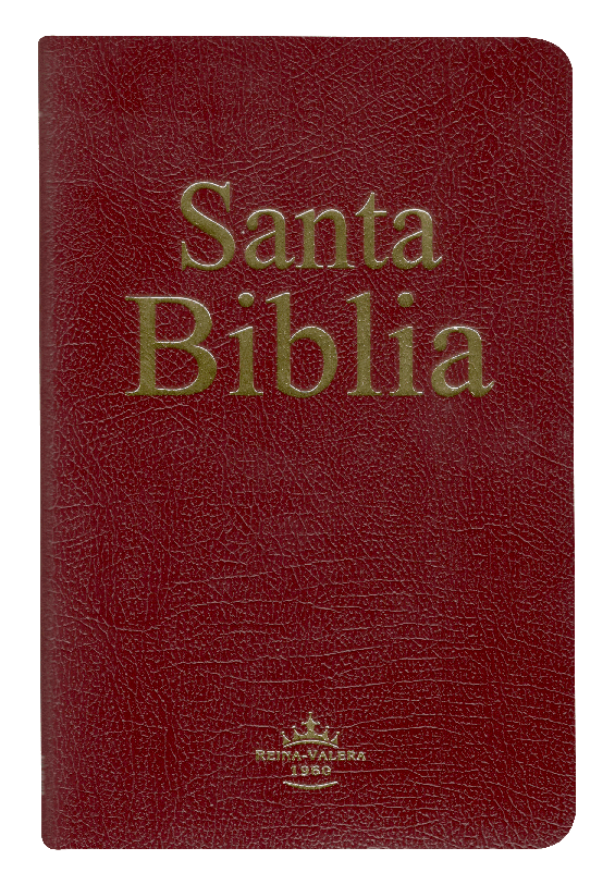 Biblia Reina Valera 1960 – Tapa Imitación Piel Bordó Covertext, 14 x 21 cm, Letra 9 Puntos