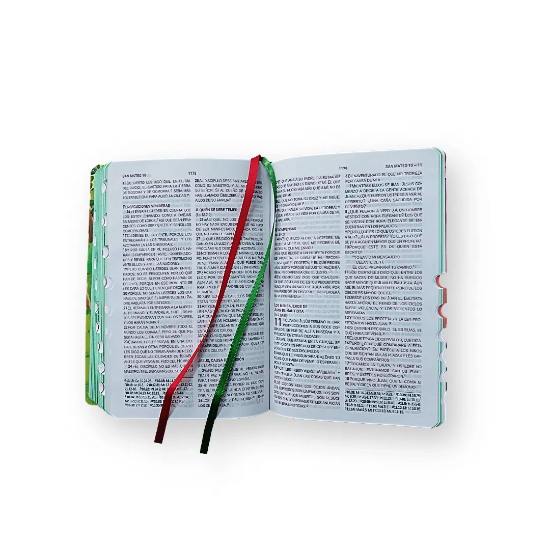 Biblia Infantil RVC · Letra Grande · Ilustrada · Canto pintado · Lo que Dios espera de mí