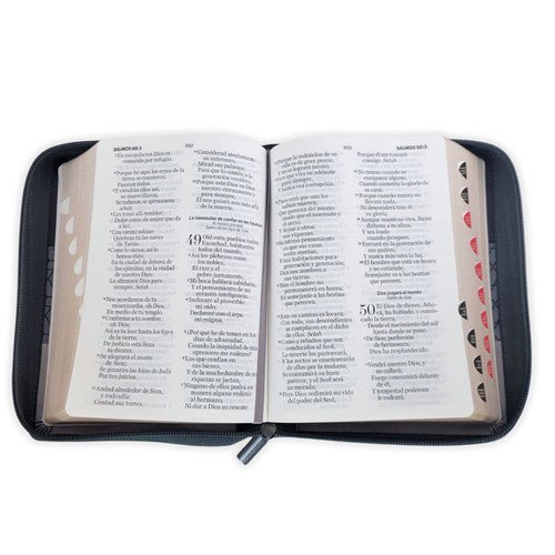 Biblia Reina Valera 1960 045 Concordancia Cierre Indice pjr Tricolor Negro - Gris