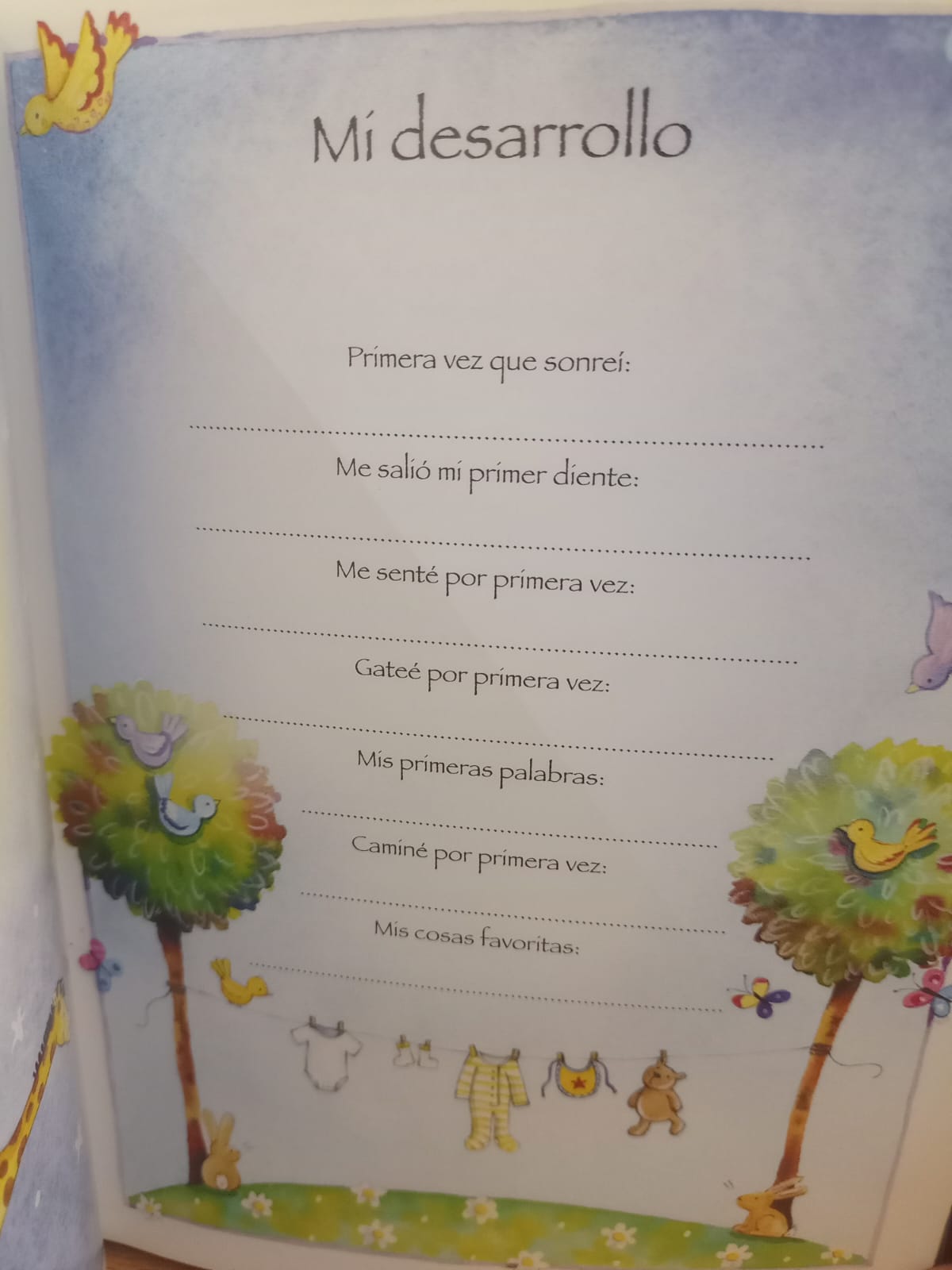 Mi Biblia Legado Sally Ann Wright - Niños