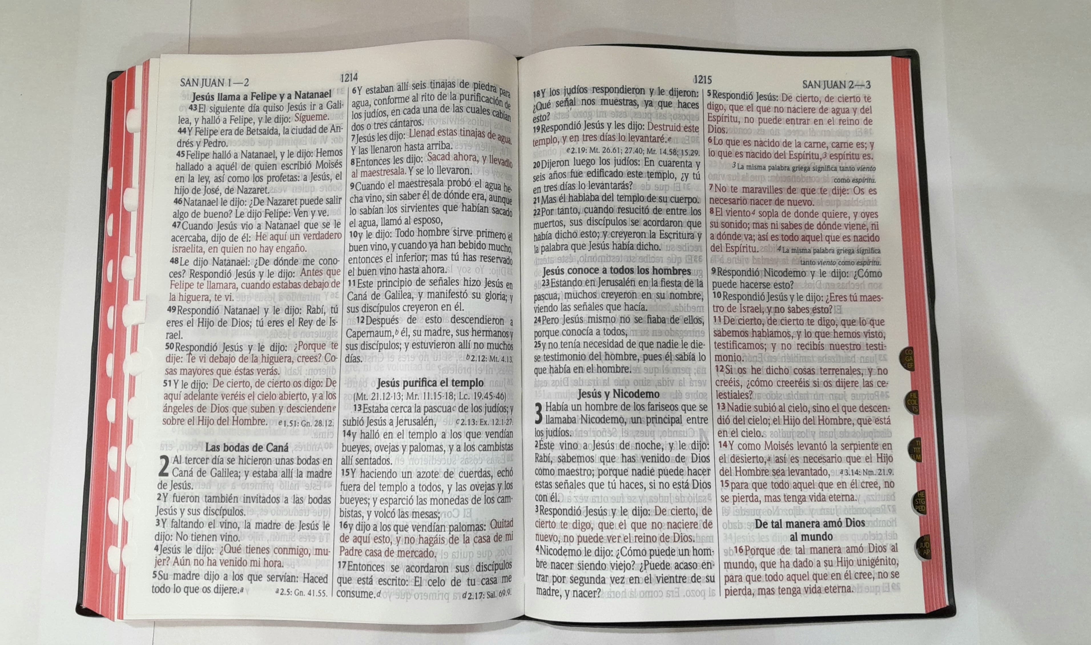 Biblia Reina Valera 1960 Letra Gigante Concordancia e Indice Tapa Blanda Negra