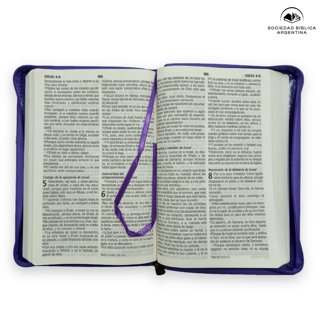 Biblia Reina Valera 1960 Letra Estándar Con Concordancia Con Cierre Tapa PU Púrpura 14 x 21 cm