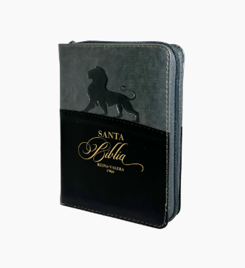 Biblia RVR60 025czti PJR - Expresión.  Negro/gris León