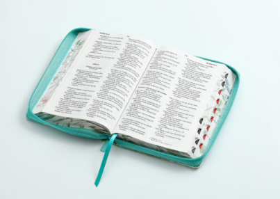 Biblia RVR065LG czti CP PJR Pretty turquesa