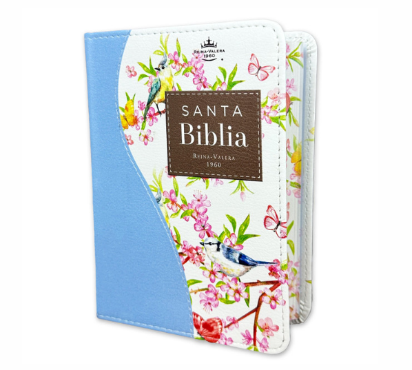 Biblia RVR60 025c CP PJR Renovación Turquesa Azul