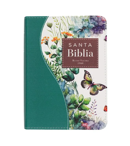 Biblia RVR60 025c CP PJR Renovación Turquesa