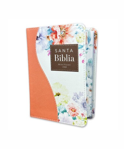 Biblia RVR60 025c CP PJR Renovación Coral