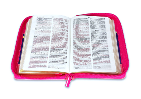 Biblia RVR60 025 cz PJR Primor Fucsia/lila/ rosa Luna - Búho