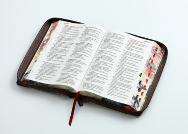 Biblia RVR065LG czti CP PJR Pretty Marrón