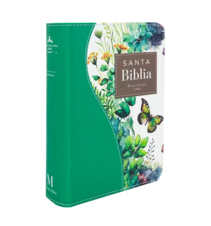 Biblia RVR60 025c CP PJR Renovación Turquesa