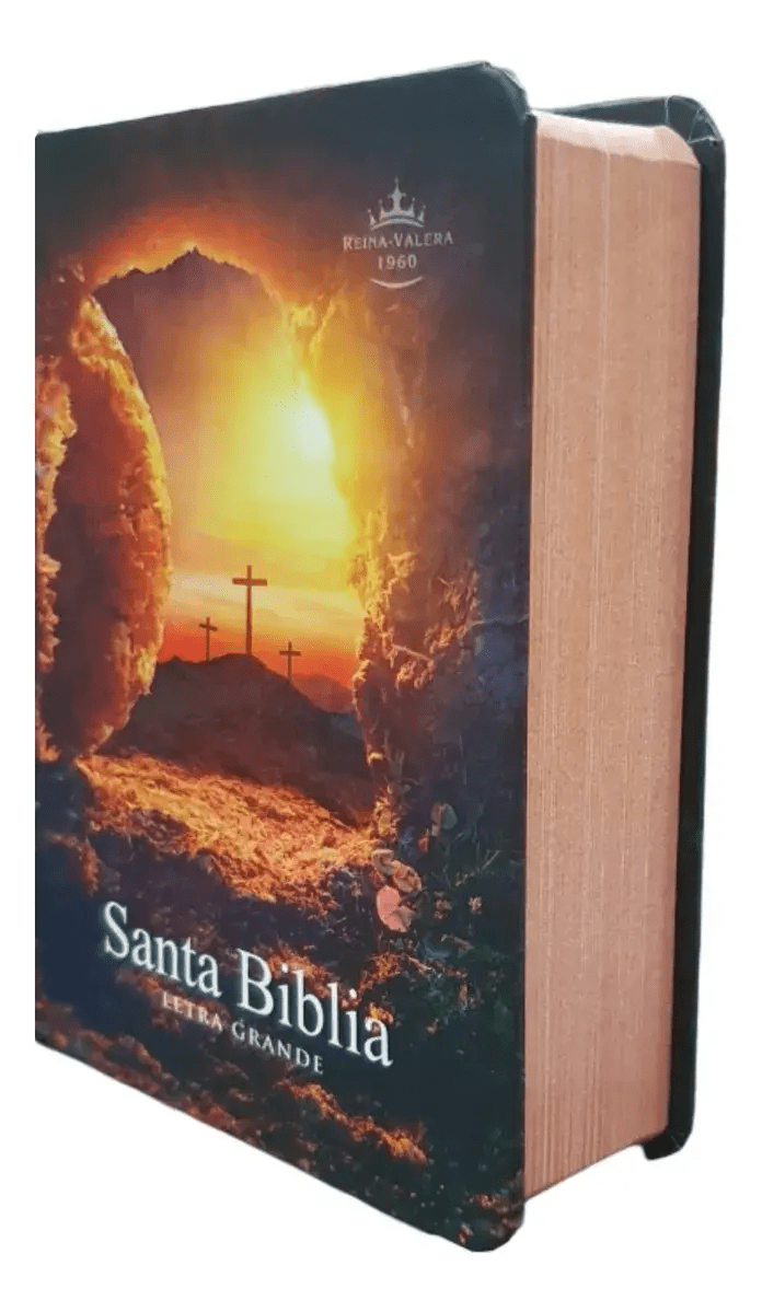 Biblia Reina Valera 1960 letra Estándar pjr Tapa Dura colores Piedra