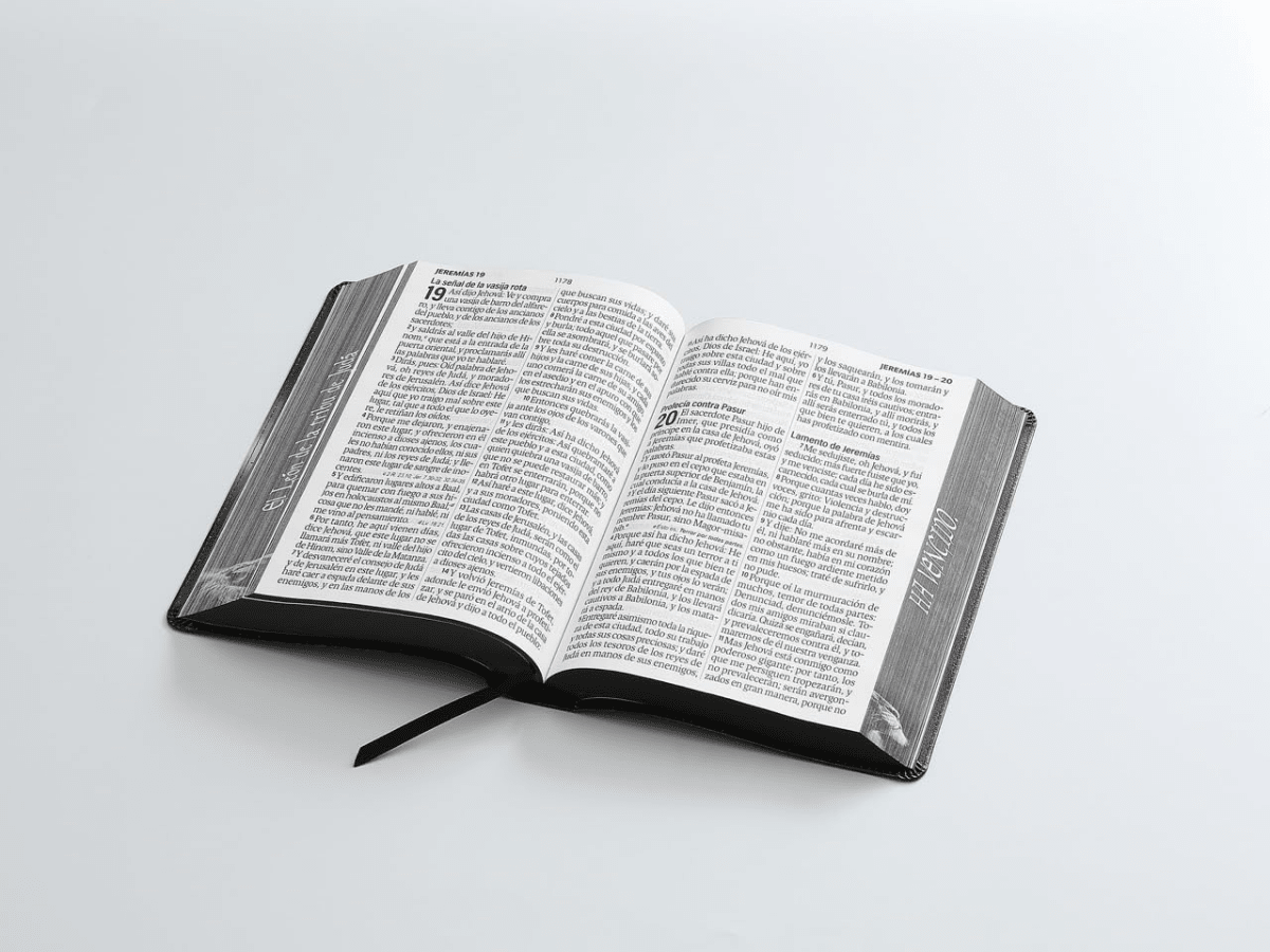 Biblia Reina Valera 1960 088C Lsgi 19P 16X23 Cp Pjr León De Juda
