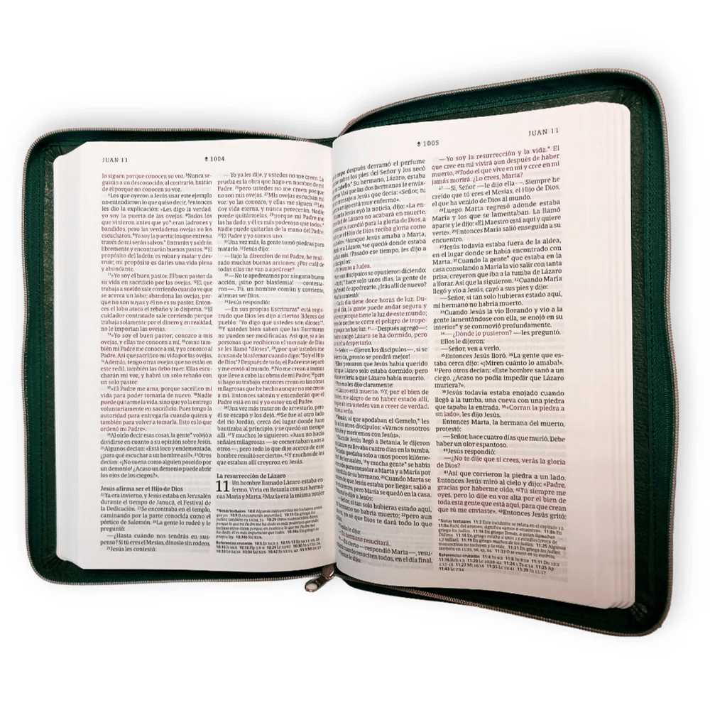 Biblia NTV Nueva Traducción Viviente Filament Ultrafina Símil piel Verde esmeralda Cierre