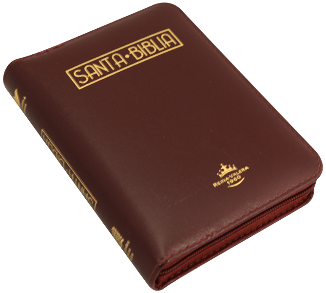 Biblia Reina Valera 1960 – 055 – Con Concordancia – Letra 10 pts – 15x21 cm – Palabras de Jesús en Rojo – Cierre – Color Violeta/Vino