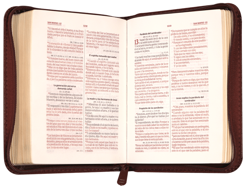 Biblia Reina Valera 1960 – 055 – Con Concordancia – Letra 10 pts – 15x21 cm – Palabras de Jesús en Rojo – Cierre – Color Violeta/Vino