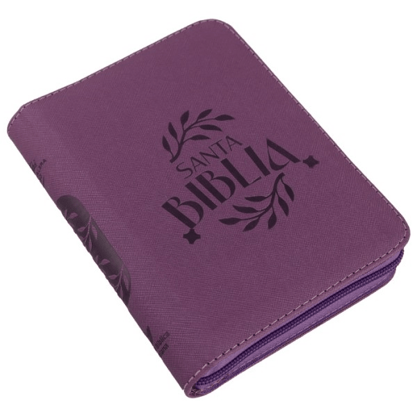 Biblia Reina Valera 1960 Concordancia Cierre Mediana Letra 9 Puntos Uva Qr Edición Especial