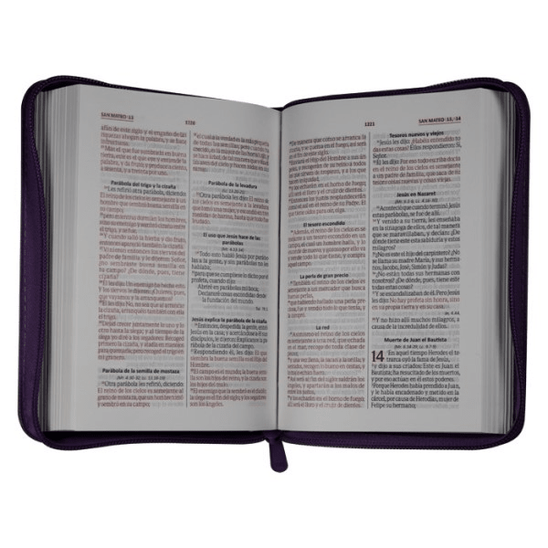Biblia Reina Valera 1960 Concordancia Cierre Mediana Letra 9 Puntos Uva Qr Edición Especial