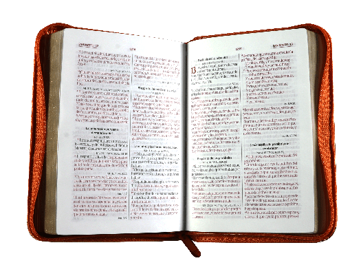 Biblia Reina Valera 1960 Cierre PJR letra mediana Naranja Beige Canto Dorado