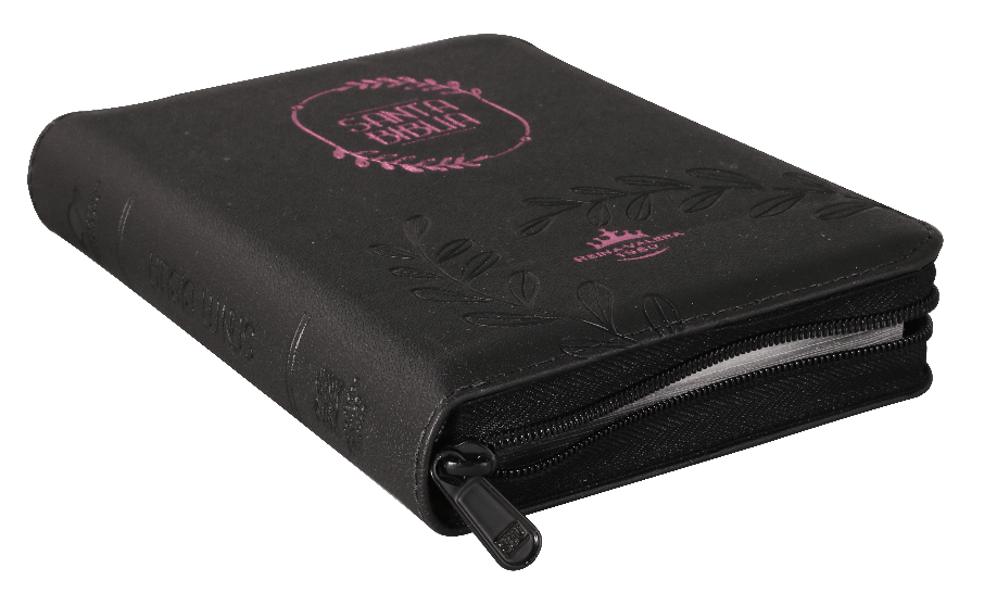 Biblia Reina Valera 1960 Concordancia Cierre Índice Pjr QR