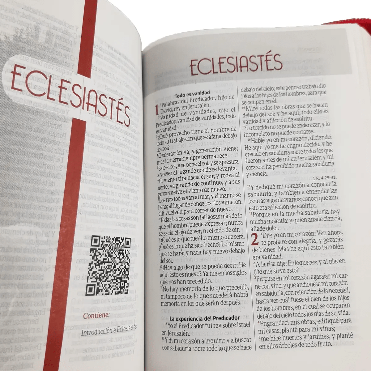 Biblia Reina Valera 1960 Concordancia Cierre Chica 12x17Cm Letra 6 Puntos Fucsia Qr Edicion Especial