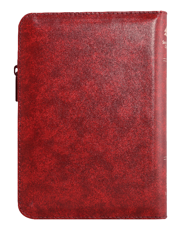 Biblia Reina Valera 1960 Concordancia Cierre Índice Bordo